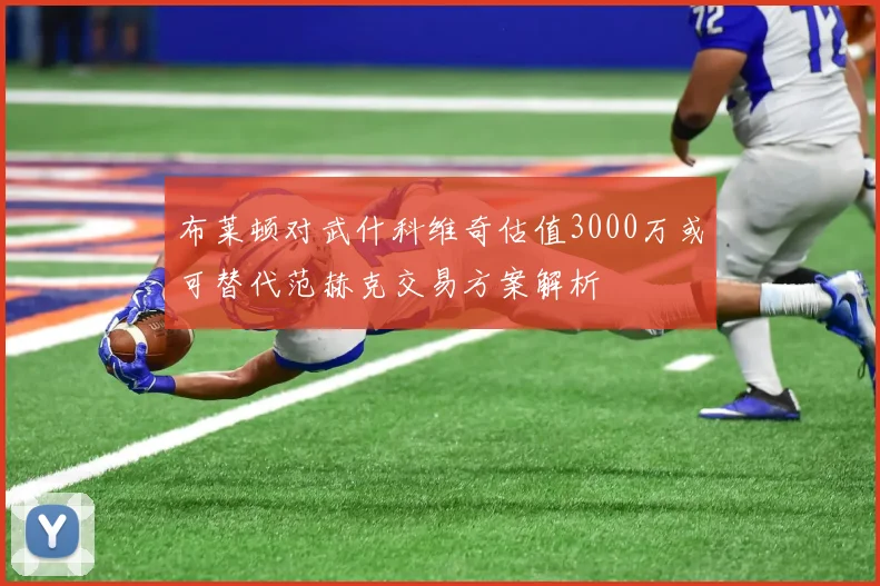 布莱顿对武什科维奇估值3000万或可替代范赫克交易方案解析