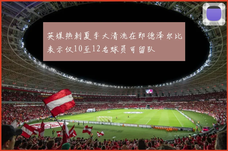 英媒热刺夏季大清洗在即德泽尔比表示仅10至12名球员可留队